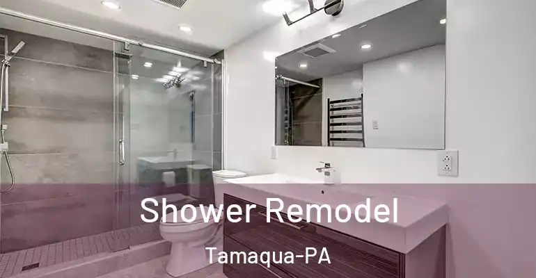 inner Bathroom imggen Shower Remodel Tamaqua-PA