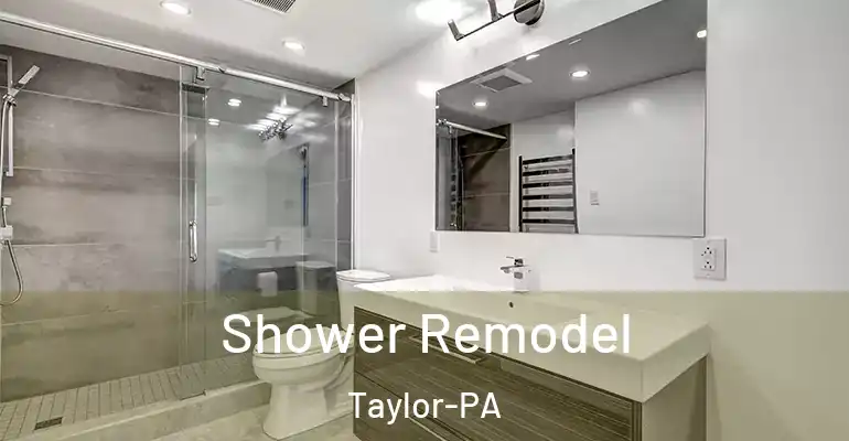 inner Bathroom imggen Shower Remodel Taylor-PA