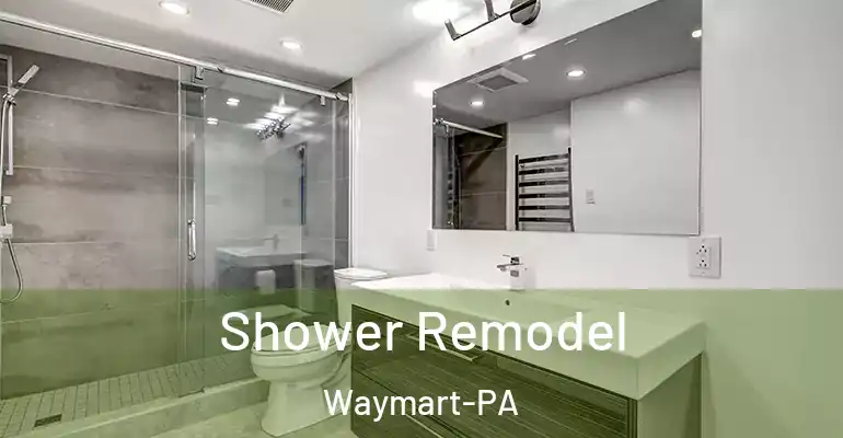 inner Bathroom imggen Shower Remodel Waymart-PA