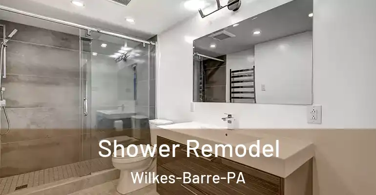 inner Bathroom imggen Shower Remodel Wilkes-Barre-PA