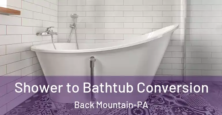 inner Bathroom imggen Shower to Bathtub Conversion Back Mountain-PA