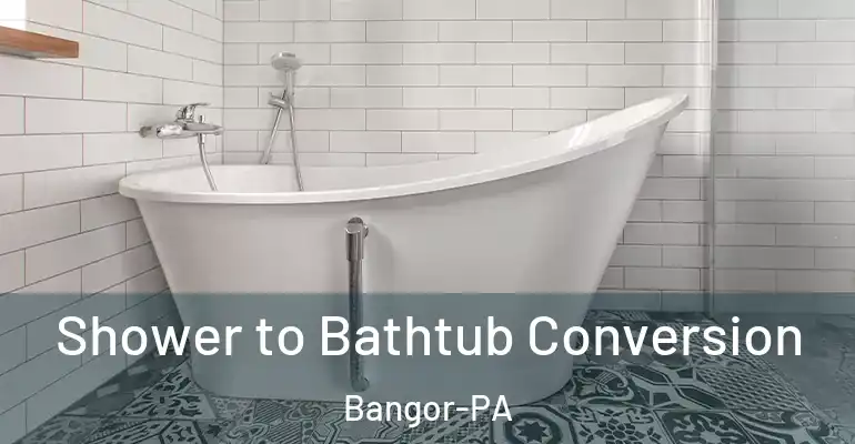 inner Bathroom imggen Shower to Bathtub Conversion Bangor-PA