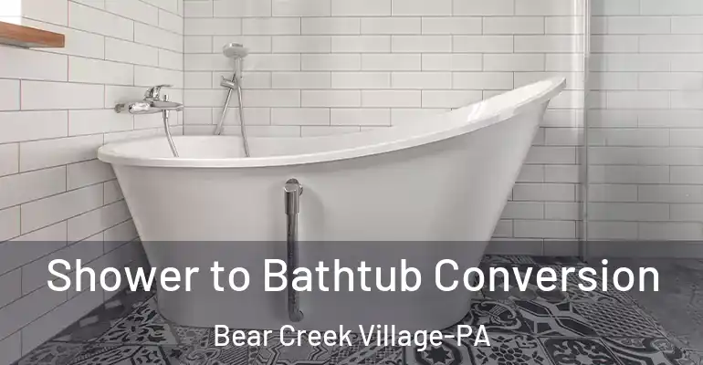 inner Bathroom imggen Shower to Bathtub Conversion Bear Creek Village-PA