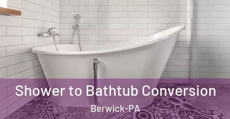 inner Bathroom imggen Shower to Bathtub Conversion Berwick-PA