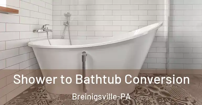 inner Bathroom imggen Shower to Bathtub Conversion Breinigsville-PA