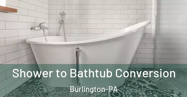 inner Bathroom imggen Shower to Bathtub Conversion Burlington-PA