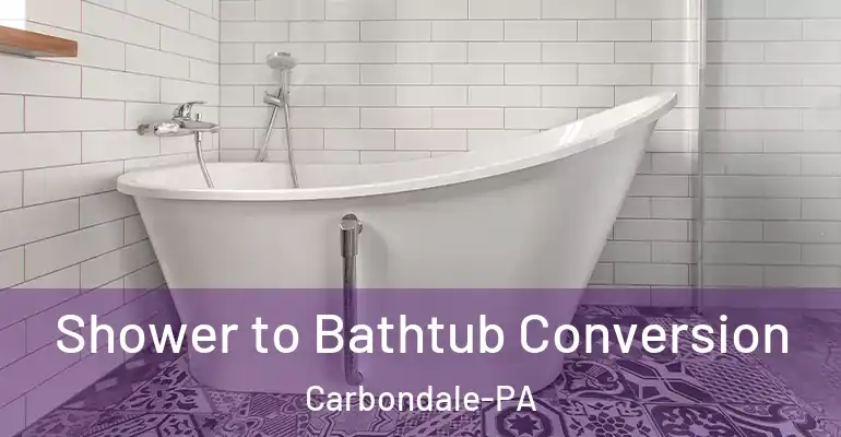 inner Bathroom imggen Shower to Bathtub Conversion Carbondale-PA