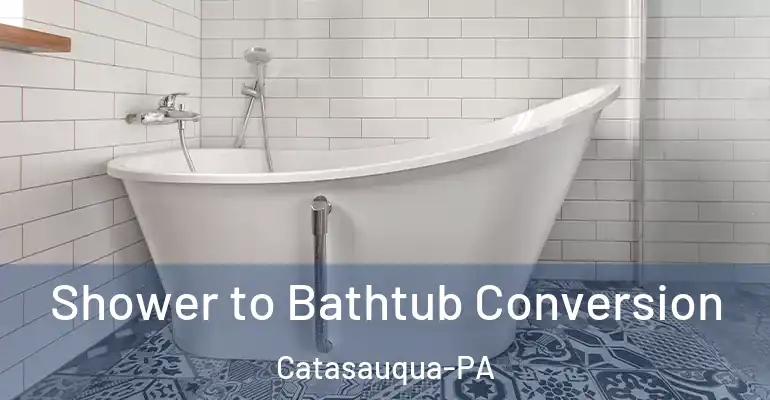 inner Bathroom imggen Shower to Bathtub Conversion Catasauqua-PA