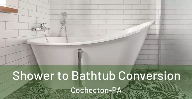 inner Bathroom imggen Shower to Bathtub Conversion Cochecton-PA