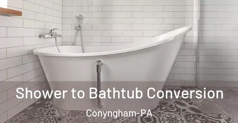 inner Bathroom imggen Shower to Bathtub Conversion Conyngham-PA