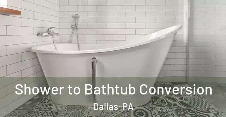 inner Bathroom imggen Shower to Bathtub Conversion Dallas-PA