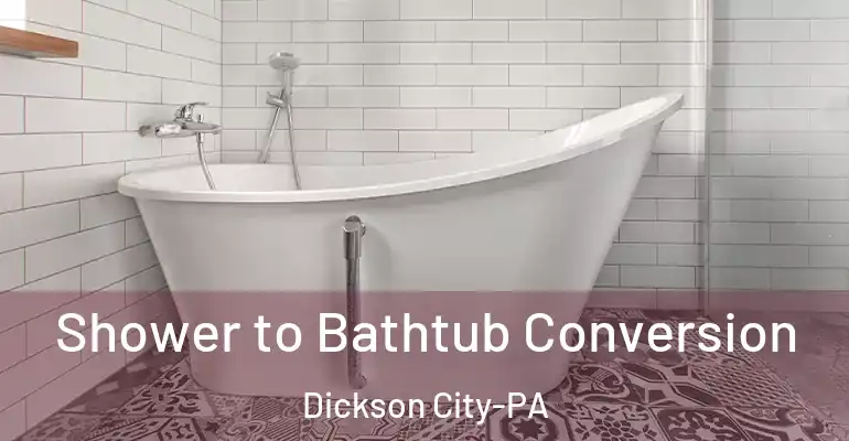 inner Bathroom imggen Shower to Bathtub Conversion Dickson City-PA