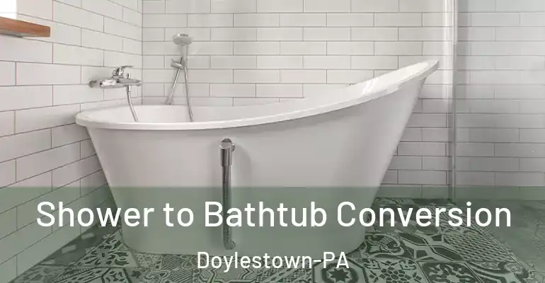 inner Bathroom imggen Shower to Bathtub Conversion Doylestown-PA