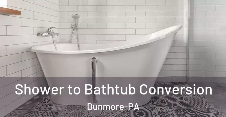 inner Bathroom imggen Shower to Bathtub Conversion Dunmore-PA