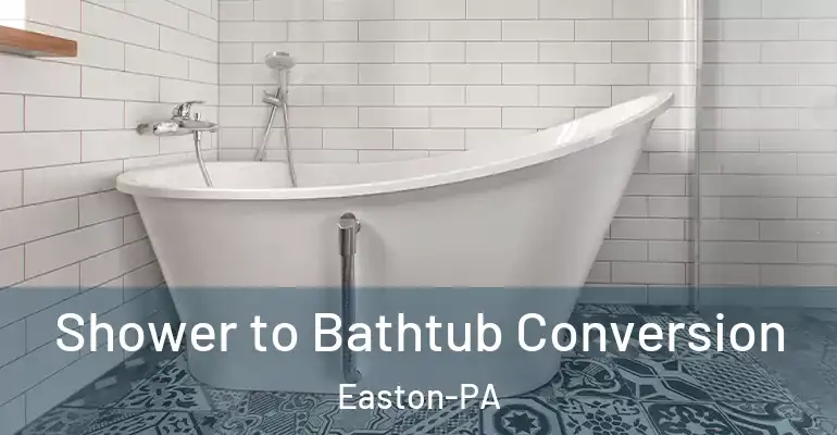 inner Bathroom imggen Shower to Bathtub Conversion Easton-PA
