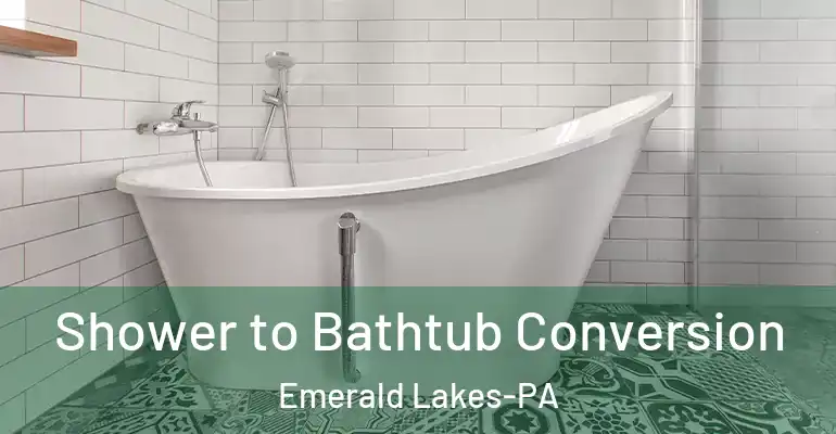 inner Bathroom imggen Shower to Bathtub Conversion Emerald Lakes-PA