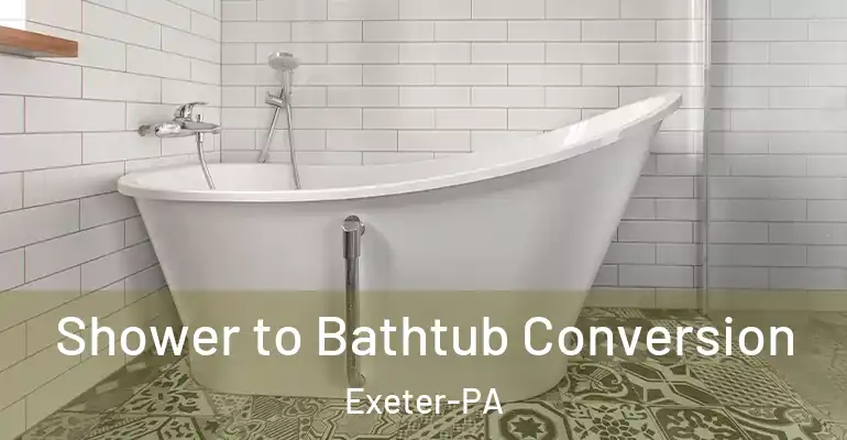 inner Bathroom imggen Shower to Bathtub Conversion Exeter-PA