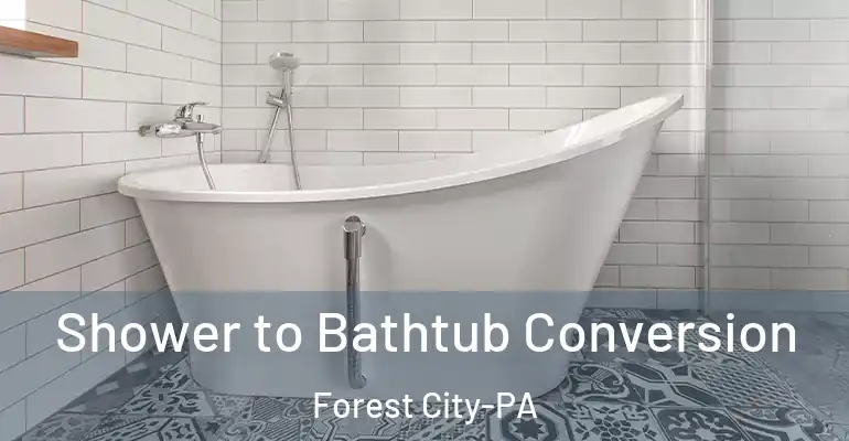 inner Bathroom imggen Shower to Bathtub Conversion Forest City-PA