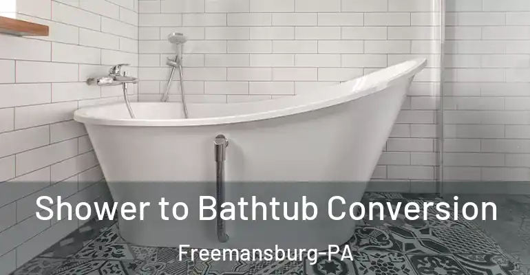 inner Bathroom imggen Shower to Bathtub Conversion Freemansburg-PA