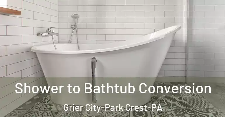 inner Bathroom imggen Shower to Bathtub Conversion Grier City-Park Crest-PA