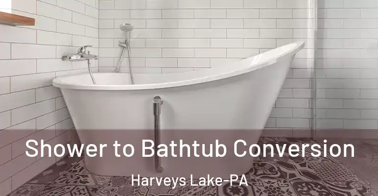 inner Bathroom imggen Shower to Bathtub Conversion Harveys Lake-PA