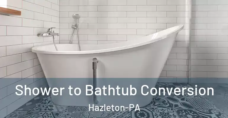 inner Bathroom imggen Shower to Bathtub Conversion Hazleton-PA