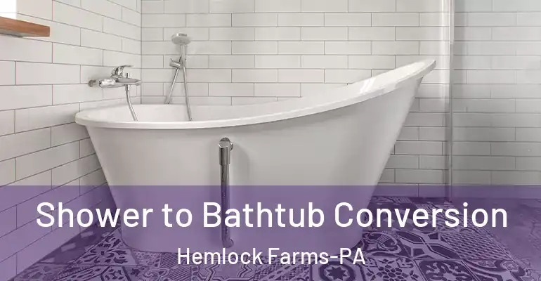 inner Bathroom imggen Shower to Bathtub Conversion Hemlock Farms-PA