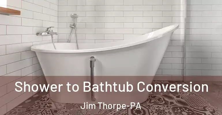 inner Bathroom imggen Shower to Bathtub Conversion Jim Thorpe-PA