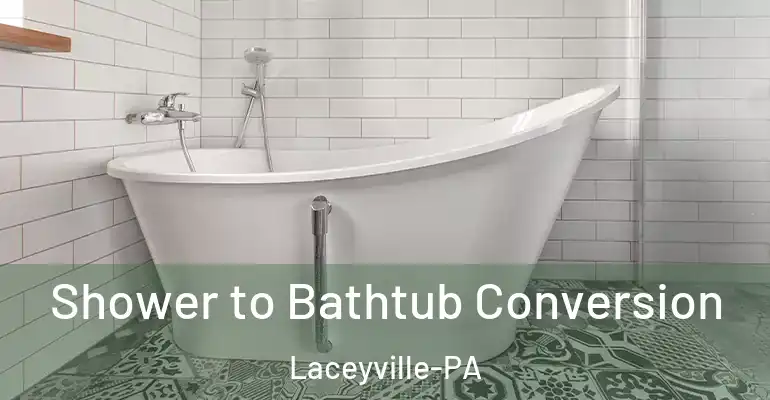 inner Bathroom imggen Shower to Bathtub Conversion Laceyville-PA