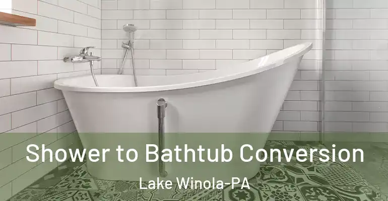 inner Bathroom imggen Shower to Bathtub Conversion Lake Winola-PA