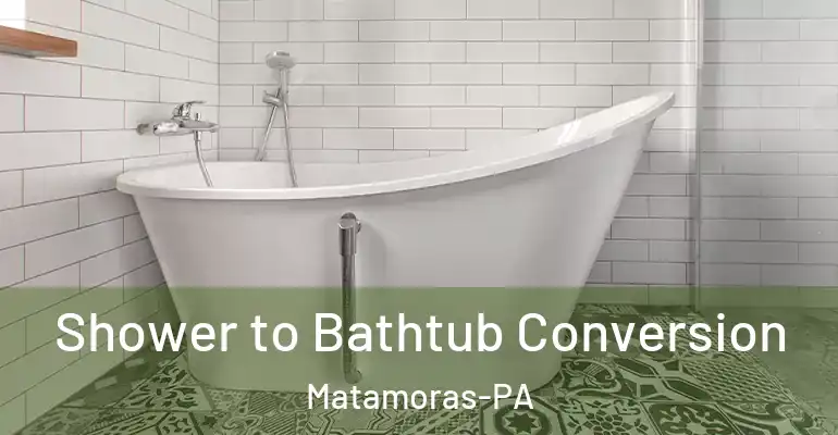 inner Bathroom imggen Shower to Bathtub Conversion Matamoras-PA