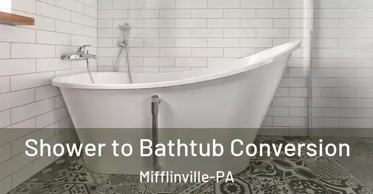 inner Bathroom imggen Shower to Bathtub Conversion Mifflinville-PA
