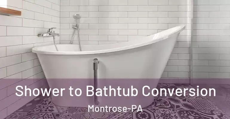 inner Bathroom imggen Shower to Bathtub Conversion Montrose-PA