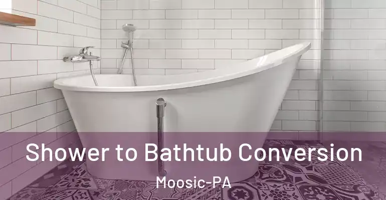 inner Bathroom imggen Shower to Bathtub Conversion Moosic-PA