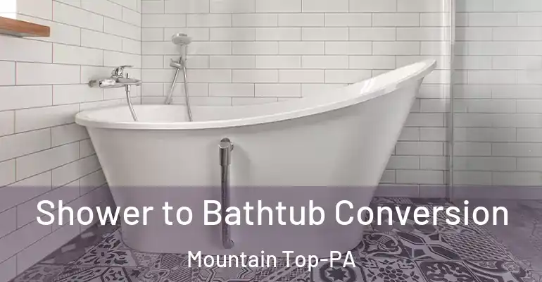 inner Bathroom imggen Shower to Bathtub Conversion Mountain Top-PA