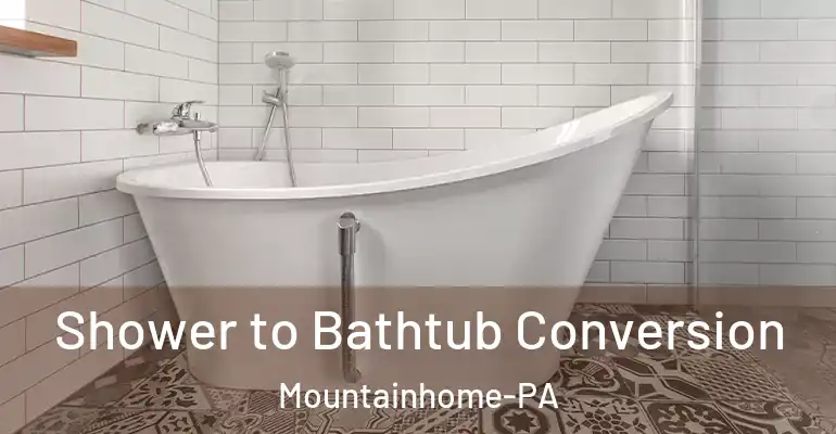 inner Bathroom imggen Shower to Bathtub Conversion Mountainhome-PA