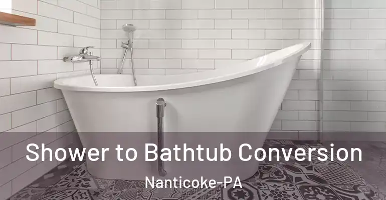 inner Bathroom imggen Shower to Bathtub Conversion Nanticoke-PA