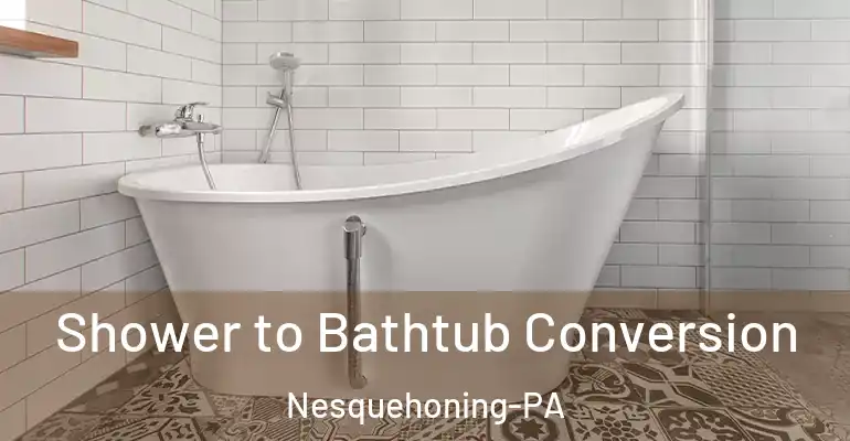inner Bathroom imggen Shower to Bathtub Conversion Nesquehoning-PA