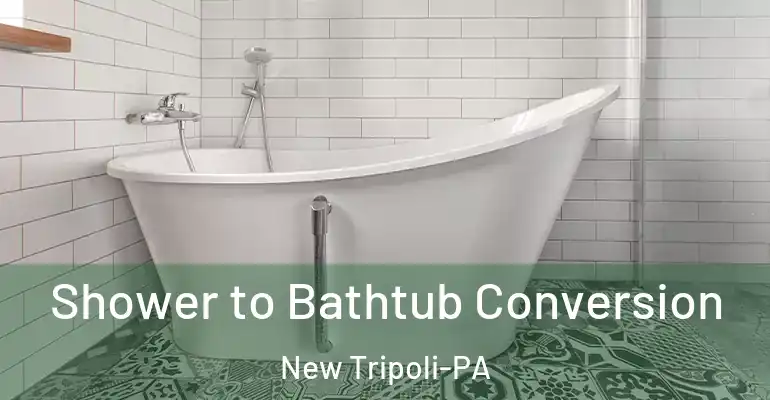 inner Bathroom imggen Shower to Bathtub Conversion New Tripoli-PA