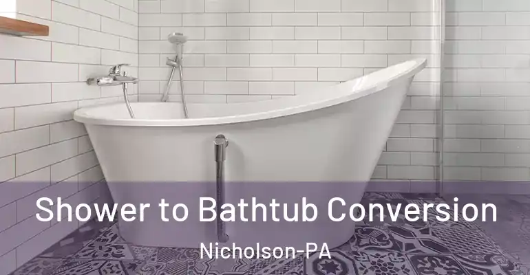 inner Bathroom imggen Shower to Bathtub Conversion Nicholson-PA