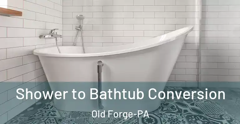 inner Bathroom imggen Shower to Bathtub Conversion Old Forge-PA