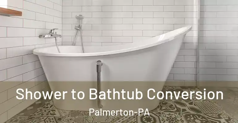 inner Bathroom imggen Shower to Bathtub Conversion Palmerton-PA