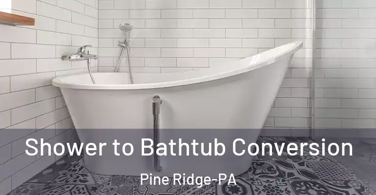 inner Bathroom imggen Shower to Bathtub Conversion Pine Ridge-PA