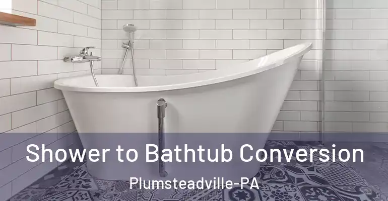 inner Bathroom imggen Shower to Bathtub Conversion Plumsteadville-PA