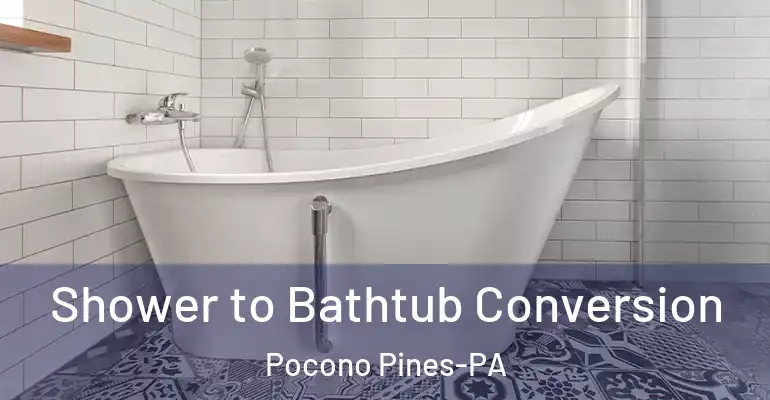 inner Bathroom imggen Shower to Bathtub Conversion Pocono Pines-PA