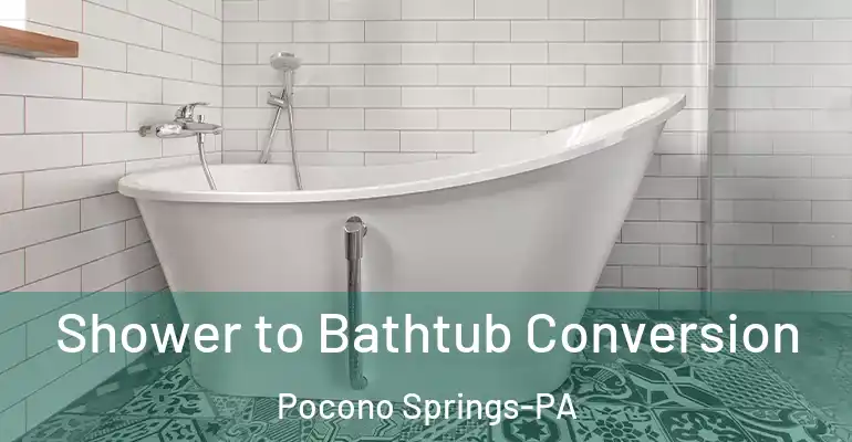 inner Bathroom imggen Shower to Bathtub Conversion Pocono Springs-PA