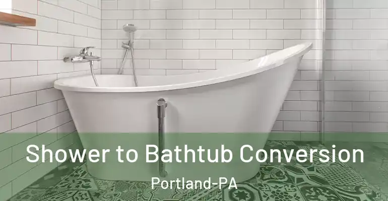 inner Bathroom imggen Shower to Bathtub Conversion Portland-PA