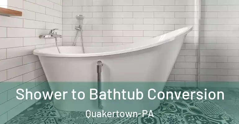 inner Bathroom imggen Shower to Bathtub Conversion Quakertown-PA