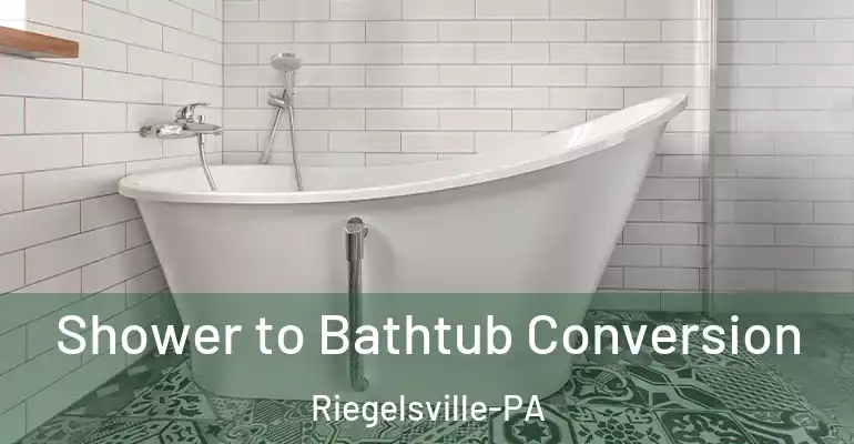 inner Bathroom imggen Shower to Bathtub Conversion Riegelsville-PA