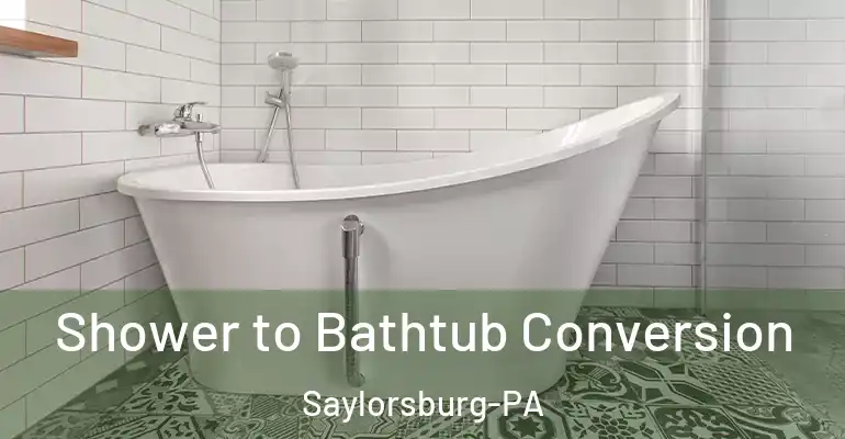 inner Bathroom imggen Shower to Bathtub Conversion Saylorsburg-PA
